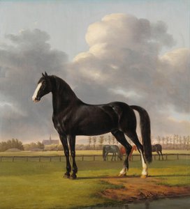 Adriaan van der Hoops travare 