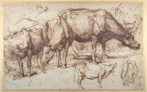 Boskap i betesmark, ca 1618-20 (penna och bläck med tvätt på papper) av Anthony van Dyck