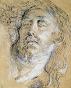 Head of the Dead Christ (kol & krita på papper) av Anthony van Dyck