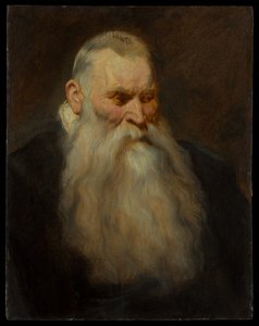 Huvudstudie av en gammal man med vitt skägg av Anthony van Dyck