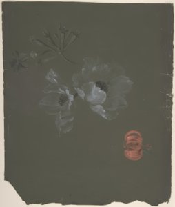 Blommig design av Antoine Berjon