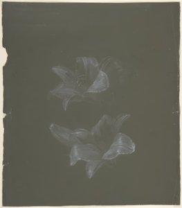 Blommig design