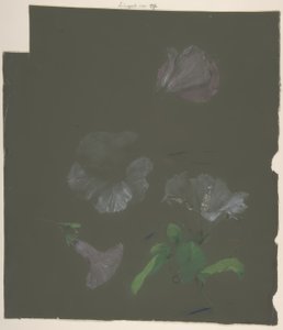 Blommig design av Antoine Berjon