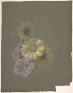 Gula tusenskönor och rosa vildros