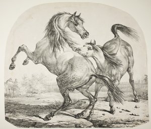 Vilda hästar som slåss, ca 1820 av Antoine Charles Horace Vernet
