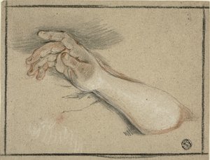 Hand och underarm
