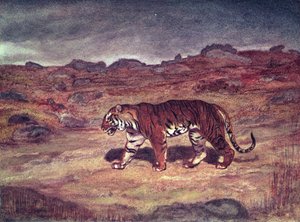 A Tiger Hunting his Prey (wc on paper) av Antoine Louis Barye