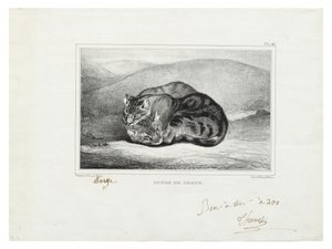 studier av katter av Antoine Louis Barye