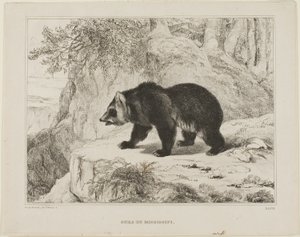 Mississippi Björn av Antoine Louis Barye