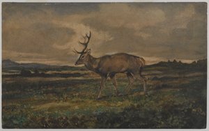 Stag Walking (wc på papper) av Antoine Louis Barye