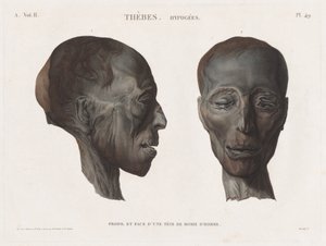 Beskrivning av Egypten: Thebes. Hypogeerna Vol. II, Pl. 49 av Antoine Maxime Monsaldy