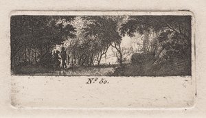 Utsikt över en skog