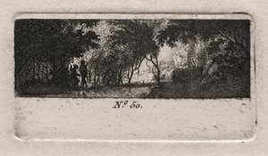 Utsikt över en skog.