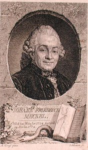 Porträtt av Johann Friedrich Meckel (1724-76) graverat av John Schleuen (fl.1740-74) (gravyr) av Anton (after) Graff