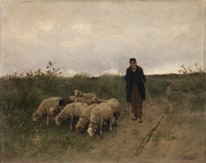 Herd och får