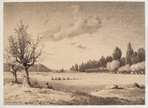 Öppet landskap med en skog i det avlägsna. Bourgogne