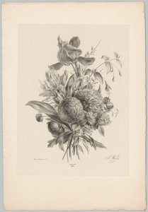 Nejlikor och liljor Flower and Fruit Studies (...) 10:e avsnittet (serietitel) av Anton Weiss