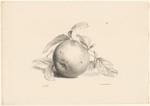 Appel Frukt (serietitel)
