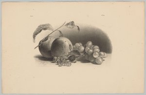 Äpplen, bär, björnbär och vindruvor Flower and Fruit Studies (...) 3:e avsnittet (serietitel) av Anton Weiss