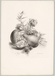 Blommor, äpplen, päron, granatäpple och björnbär Flower and Fruit Studies (...) 10:e avsnittet (serietitel)