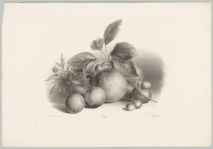Blommor, nektariner och hasselnötter Flower and Fruit Studies (...) 10:e avsnittet (serietitel) av Anton Weiss