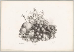 Blommor, persika, nektarin, vindruvor och björnbär Flower and Fruit Studies (...) 10:e avsnittet (serietitel) av Anton Weiss