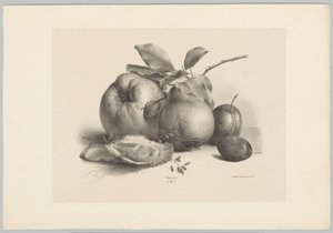 Frukt, plommon och ostron Flower and Fruit Studies (...) 10:e avsnittet (serietitel) av Anton Weiss