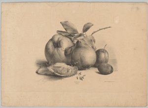Frukt, plommon och ostron Flower and Fruit Studies (...) 10:e avsnittet (serietitel) av Anton Weiss