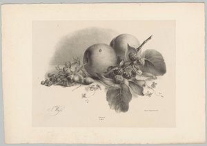 Persikor, bär, hasselnötter och björnbär Flower and Fruit Studies (...) 10:e avsnittet (serietitel) av Anton Weiss