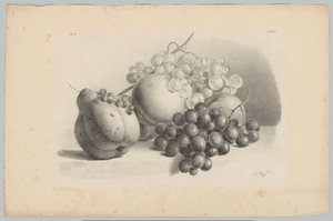 Pumpa, bär, vindruvor och persikor Flower and Fruit Studies (...) 3:e avsnittet (serietitel)