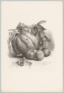 Pumpa, tomater och körsbär Flower and Fruit Studies (...) 10:e avsnittet (serietitel) av Anton Weiss