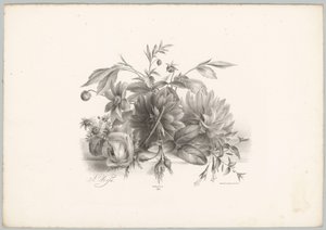 Rosor, dahlior och fuchsia Flower and Fruit Studies (...) 10:e avsnittet (serietitel)