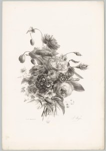 Rosor och andra blommor Flower and Fruit Studies (...) 10:e avsnittet (serietitel) av Anton Weiss