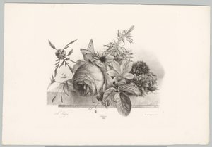 Rosor, liljor, klockformade blommor och fjäril Flower and Fruit Studies (...) 10:e avsnittet (serietitel) av Anton Weiss