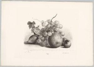 Fikon, vindruvor och apelsin Flower and Fruit Studies (...) 10:e avsnittet (serietitel) av Anton Weiss