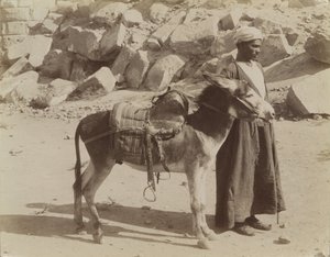 Bourier och Bouriquer, Egypten av Antonio Beato