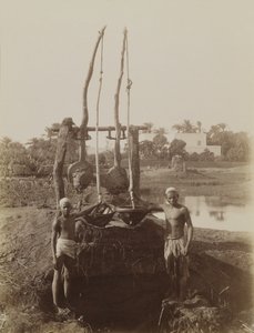 Sehadouf, Luxor av Antonio Beato