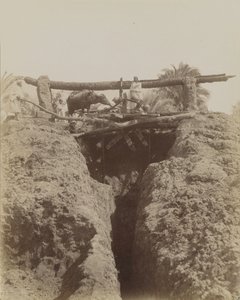 Sehaquieh, Egypten av Antonio Beato