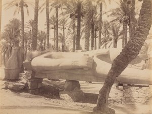 Staty av Ramses i Saqqara av Antonio Beato