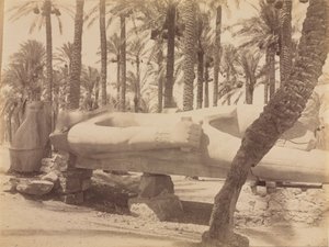 Staty av Ramses i Saqqara, ca. 1870-1880-talen. av Antonio Beato