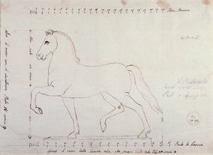 Studera för en häst för ett ryttarmonument (ritning av Antonio Canova