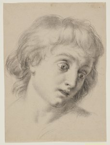 Huvudet av en pojke av Antonio Cavallucci