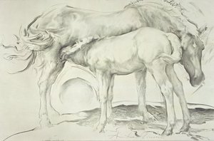 Horses at Coolmore, 1990 (kol på papper)