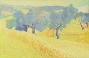 Olivträd i Toscana, 1966