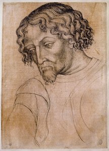 Byst av skäggig man, tre fjärdedels huvud lutat åt vänster. Ritning av verkstaden Antonio di Puccio Pisano dit Pisanello (1395-1455). Fjäder (teckning), blod. Mått: 28x20cm. Louvren, ritfirma av Antonio Pisanello