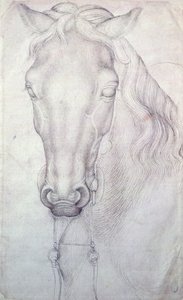 Huvud av en häst av Antonio Pisanello