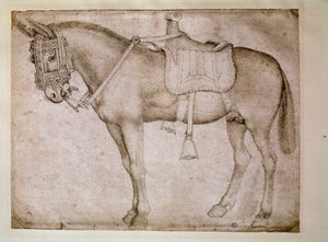 Mulsele. Teckning av Antonio Pisano dit il Pisanello (1380-1455) av Antonio Pisanello