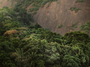 Corcovado XV, 2020 (digital fotografi) av Antonio Schubert