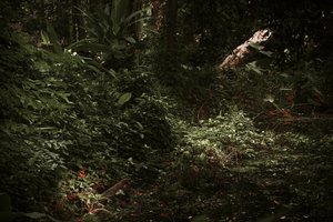 Ljus och skuggor, 2025 (digital fotografi)