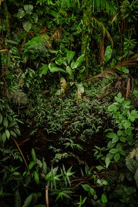 Mantiqueira XLIV, 2015 (digital fotografi)